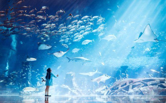 The Lost Chambers Aquarium